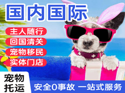 东营胜利机场托运国际宠物托运 【国